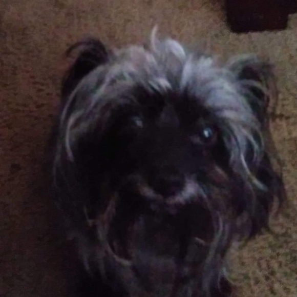 Meet your Posher, William - Picture 1 of 1